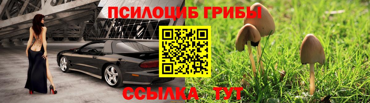 Галлюциногенные грибы ЛСД  Вход с VPN  Северодвинск 